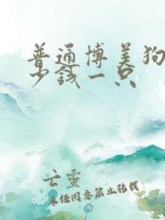 普通博美狗狗多少钱一只