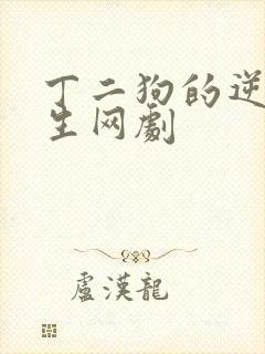 丁二狗的逆袭人生网剧