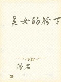 美女的胯下奴
