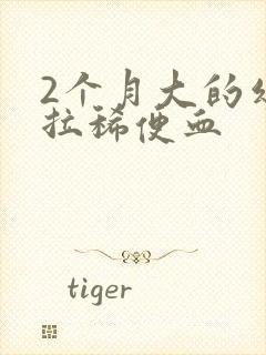 2个月大的幼猫拉稀便血