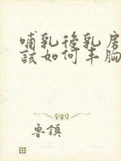 哺乳后乳房没了该如何丰胸