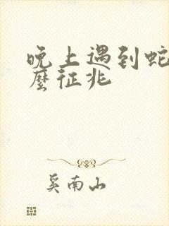 晚上遇到蛇是什么征兆