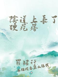 阴道上长了一个硬疙瘩