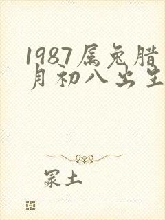 1987属兔腊月初八出生的人命运如何
