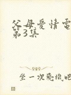 父母爱情电视剧第3集