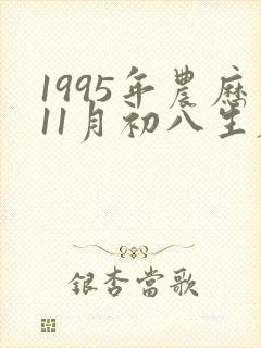 1995年农历11月初八生辰八字