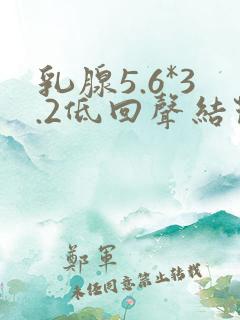 乳腺5.6*3.2低回声结节