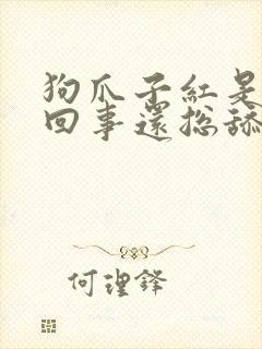 狗爪子红是怎么回事还总舔