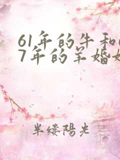 61年的牛和67年的羊婚姻怎样