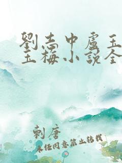 刘志中卢玉清卢玉梅小说全文免费阅