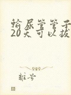 输尿管管子放了20天可以拔吗