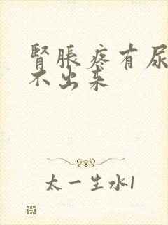 肾胀疼有尿意尿不出来