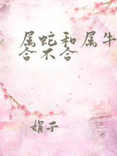 属蛇和属牛八字合不合