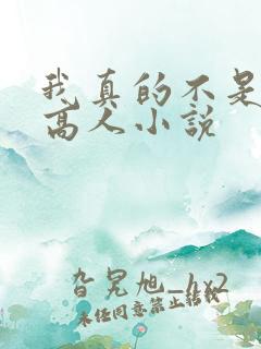 我真的不是绝世高人小说