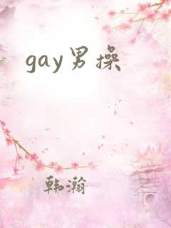 gay男操