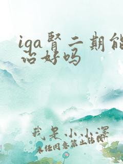 iga肾二期能治好吗
