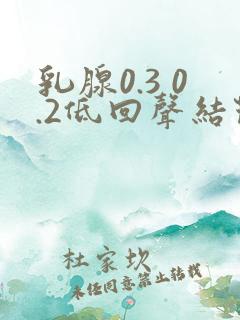 乳腺0.3 0.2低回声结节