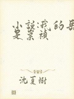 小说:我的岳父是崇祯