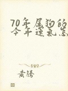 70年属狗的人今年运气怎么样