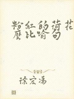 粉红的荷花像什么比喻句