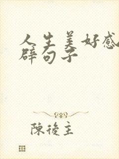 人生美好感悟精辟句子