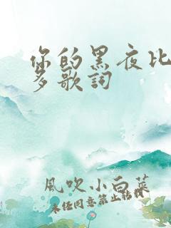 你的黑夜比白天多歌词
