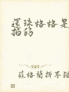 还珠格格是在哪拍的