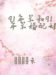 91年羊和91年羊婚配好不好