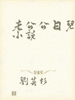 老公公日儿媳的小说