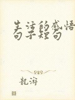 生活的感悟人生句子短句