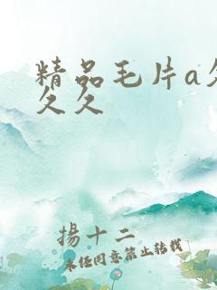精品毛片a久久久久