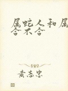 属蛇人和属羊的合不合