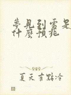 梦见到处是屎是什么预兆