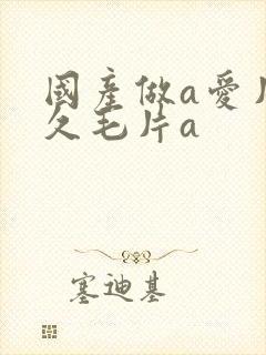 国产做a爱片久久毛片a