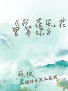《我在风花雪月里等你》