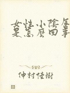 女性小阴唇肥大是怎么回事