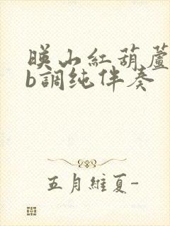 映山红葫芦丝降b调纯伴奏