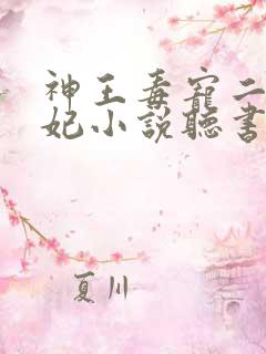 神王毒宠二嫁王妃小说听书