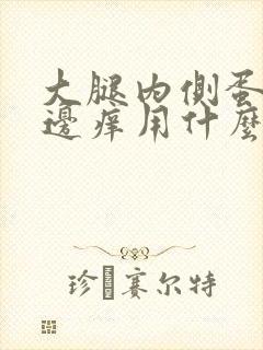 大腿内侧蛋蛋旁边痒用什么药膏