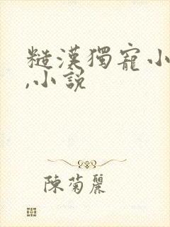 糙汉独宠小娇妻,小说