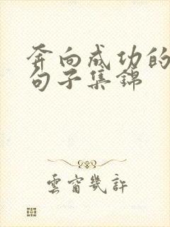 奔向成功的励志句子集锦