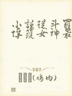 小说从斗罗开始俘获女神最新章节列表最