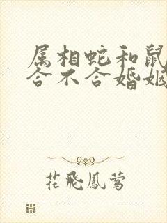 属相蛇和鼠属相合不合婚姻