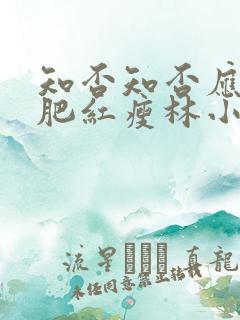 知否知否应是绿肥红瘦林小娘的结局