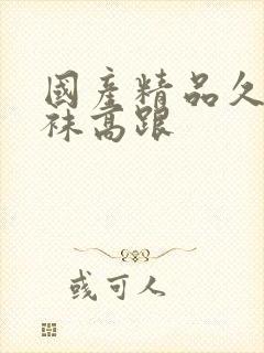 国产精品久久丝袜高跟