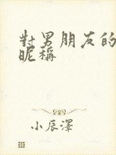 对男朋友的亲密昵称