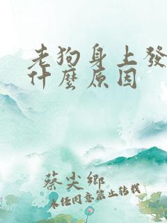 老狗身上发臭是什么原因