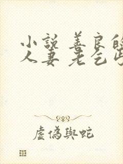 小说 善良的美人妻 老乞丐