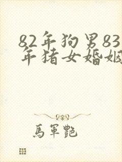 82年狗男83年猪女婚姻相配吗