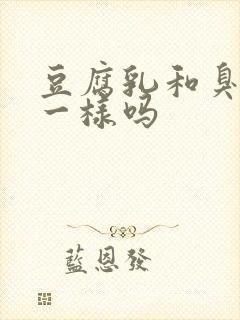 豆腐乳和臭豆腐一样吗